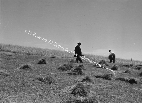 HARVEST SCENES REV C EARDLEY PP ROCKCORRY.